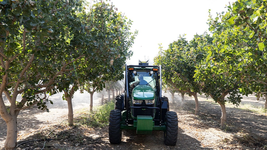 orchard image of 5ml in between trees