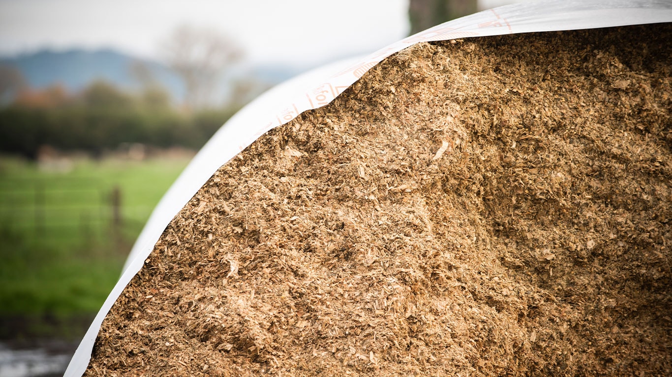 A corner of a bale of hay