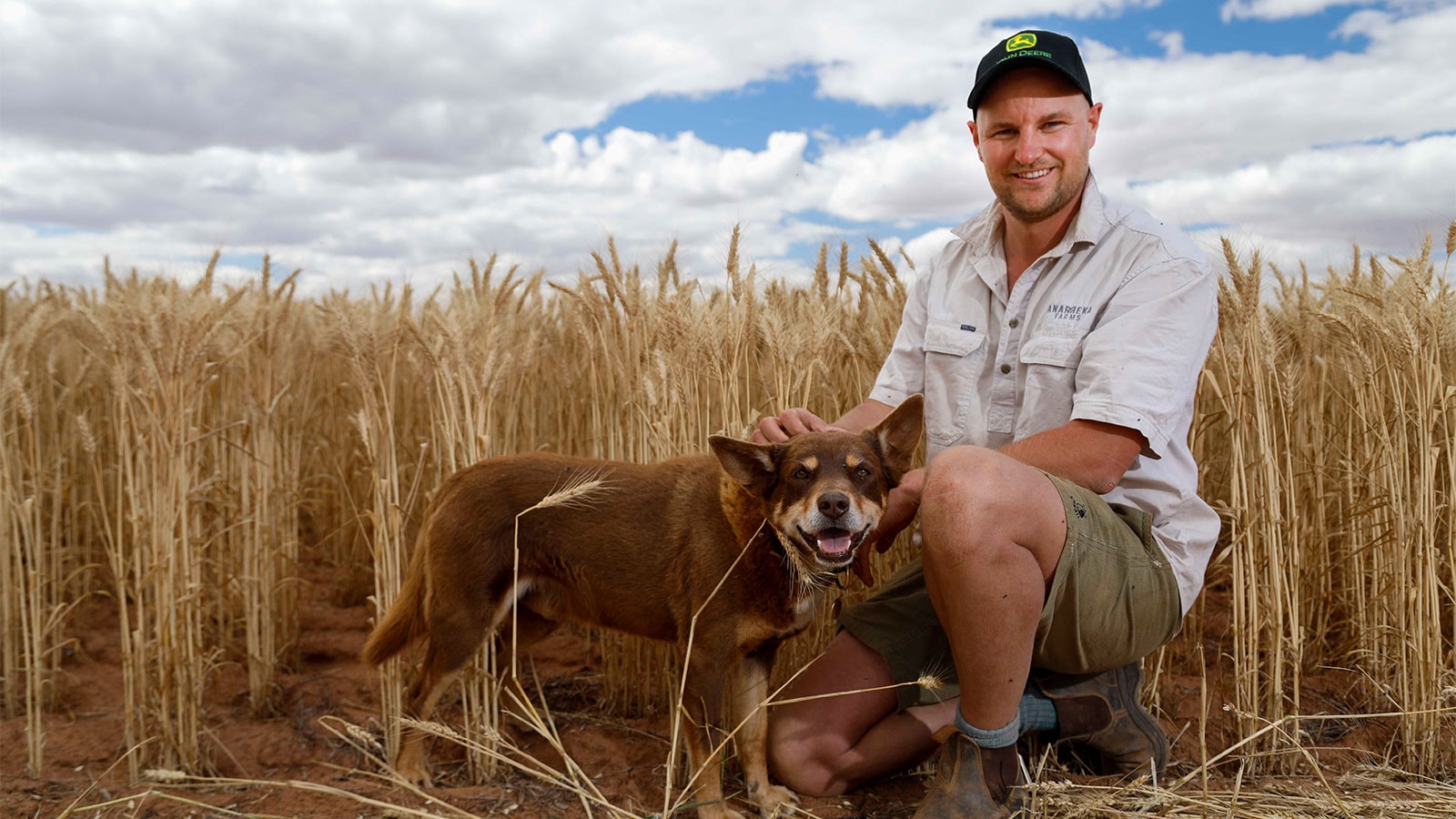 Oscar York, WA farmer, with his dog in wheat field.