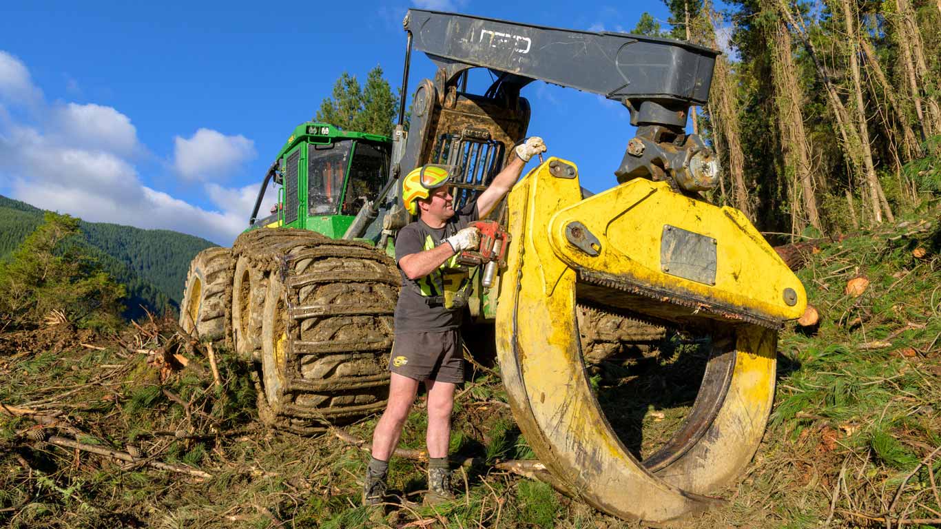 Person in safety gear inspects yellow grapple on logging machine in forest under blue sky.