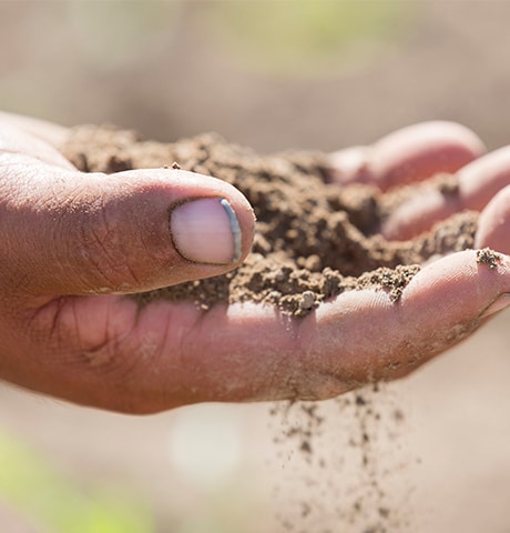 Close up of farmer's hand holding dirt