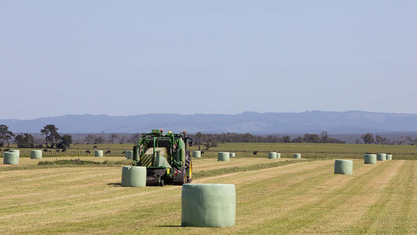 Wide view of bales on a field