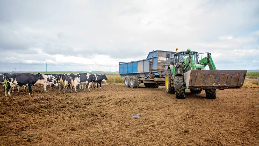 John Deere equipment by cows in a pasture