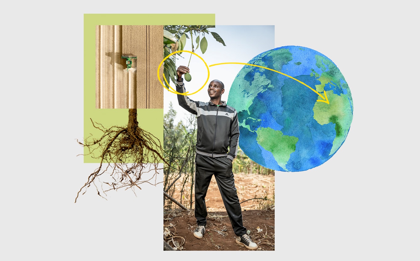 An aerial view of a John Deere harvester in a field, a person grabbing an avocado hanging from a tree, and an arrow pointing to Africa on an illustration of Earth.