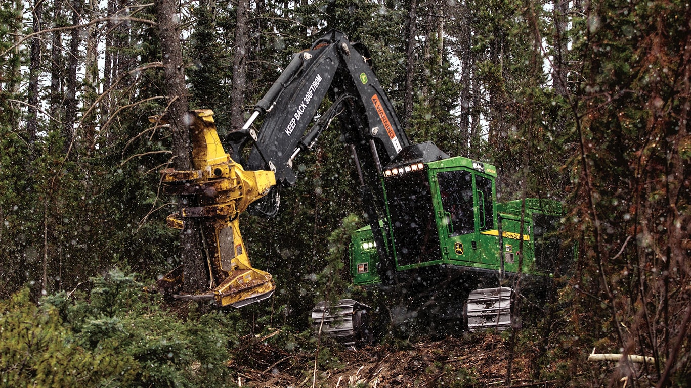 953M Tracked Feller Buncher working in the forest