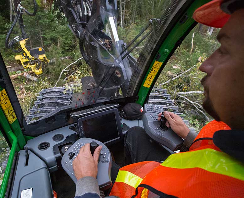 Operator in the cab of a piece of forestry equipment