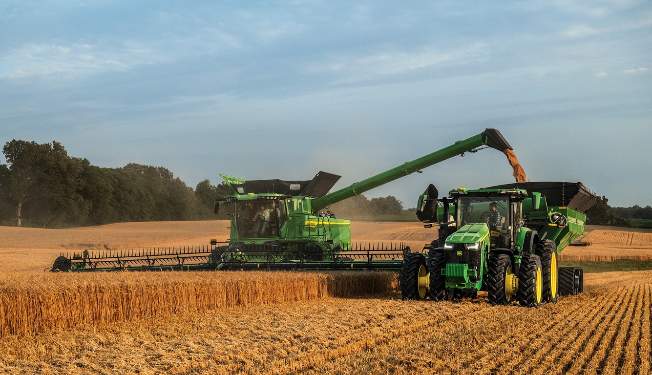 A green combine harvester and tractor work together in a golden wheat field, harvesting crops under a clear blue sky.