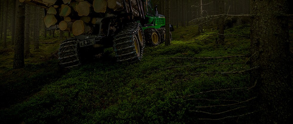 Deep in the forest