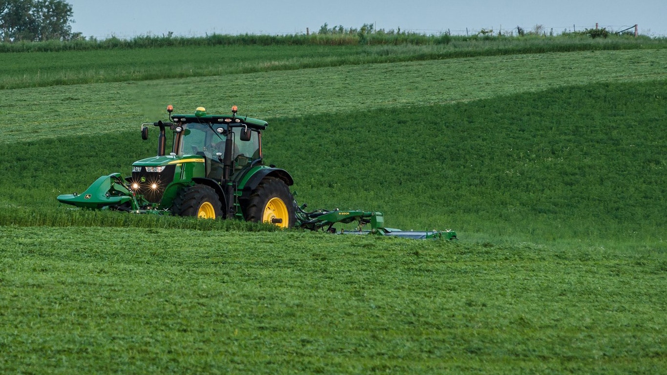 Commercial Hay Photo