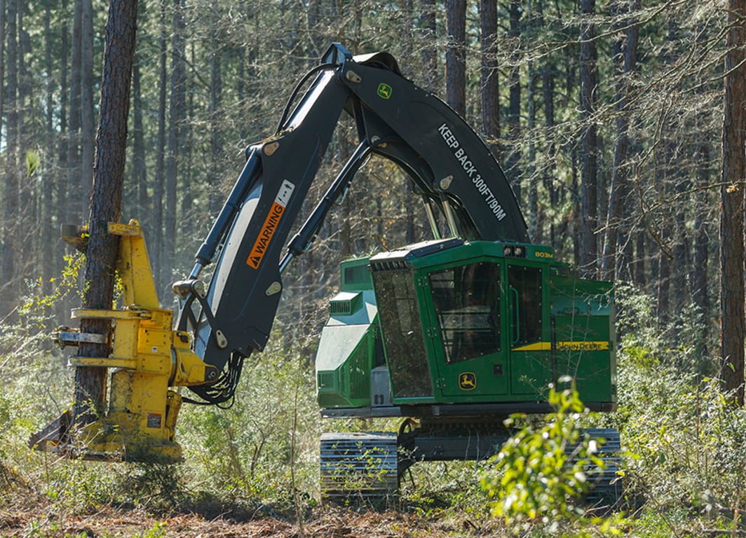 803m Tracked Feller Buncher working in the forest