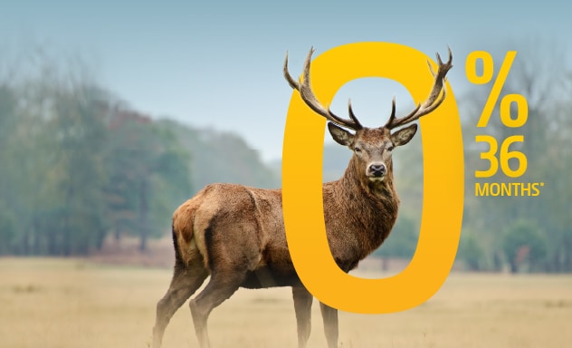 Deer in a field with 0% 36 months written in the foreground.