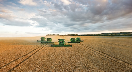 Image of tractor and cows