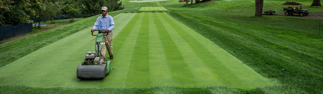reel mower stripes on lawn