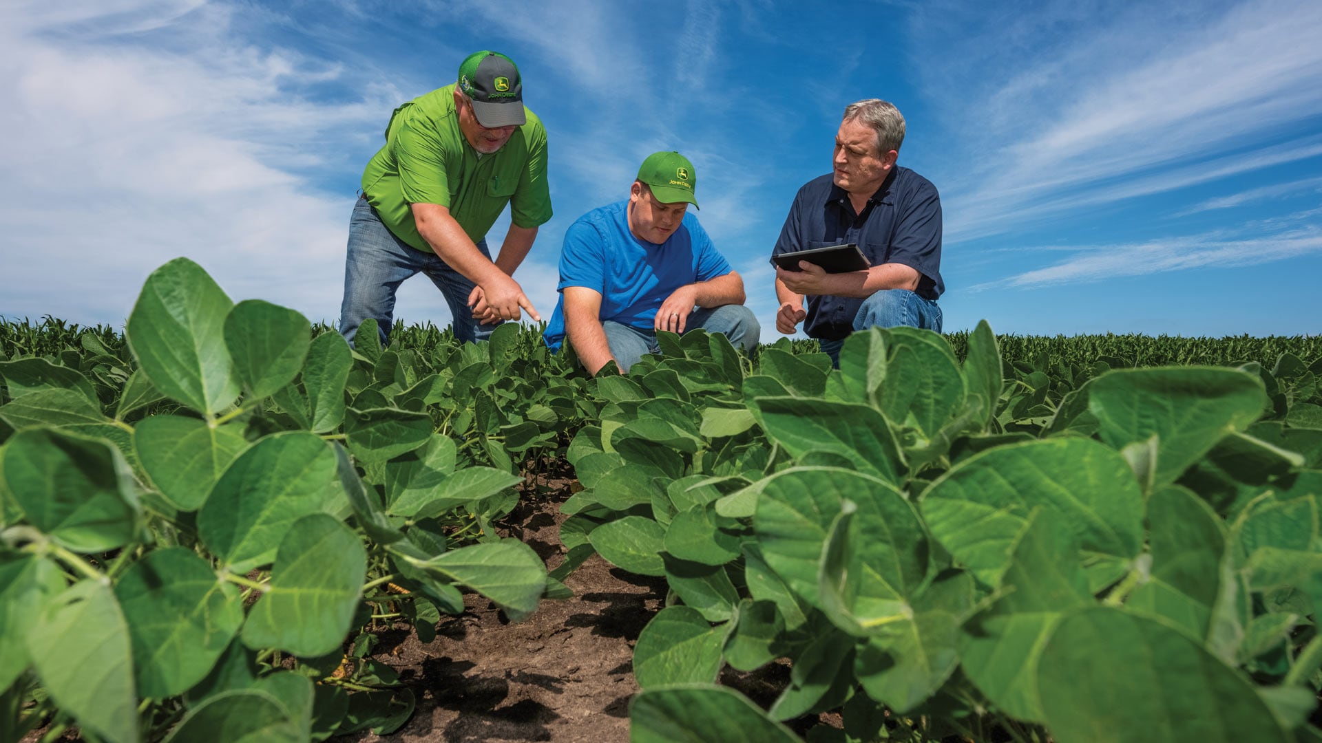 Image of three men in field inspecting crop