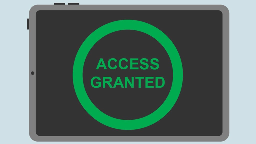 a computer screen that says "Access Granted" on it