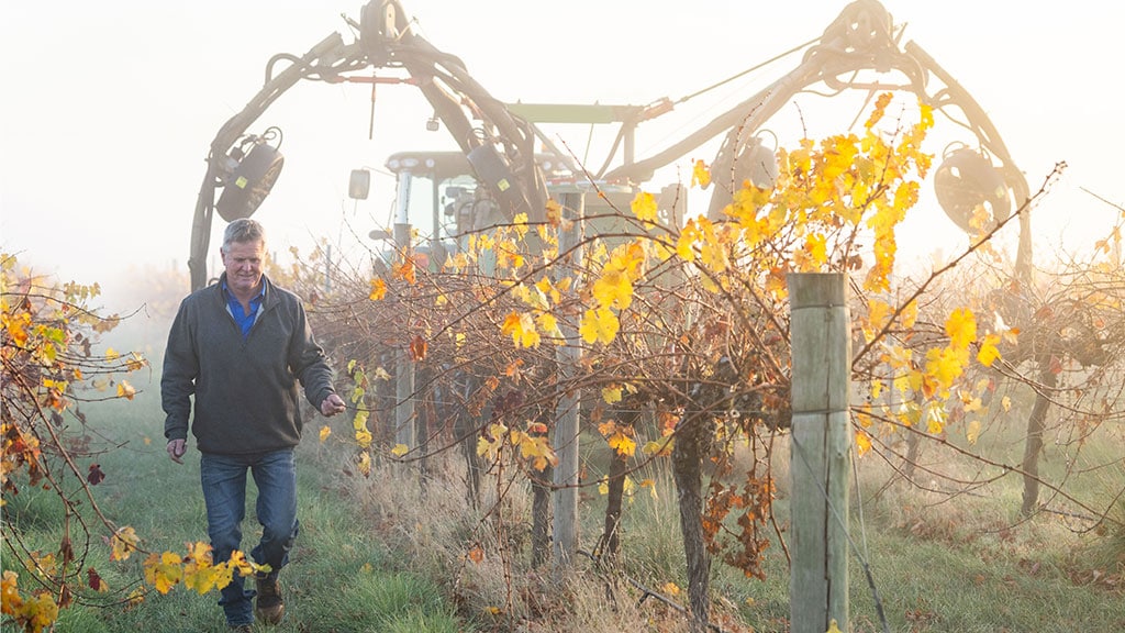 Ben Thomson walks along vineyard row with John Deere tractor behind